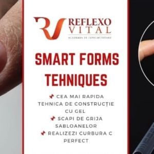 curs Smart Forms